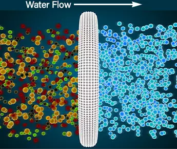 Impression of Semi-Permeable Membrane